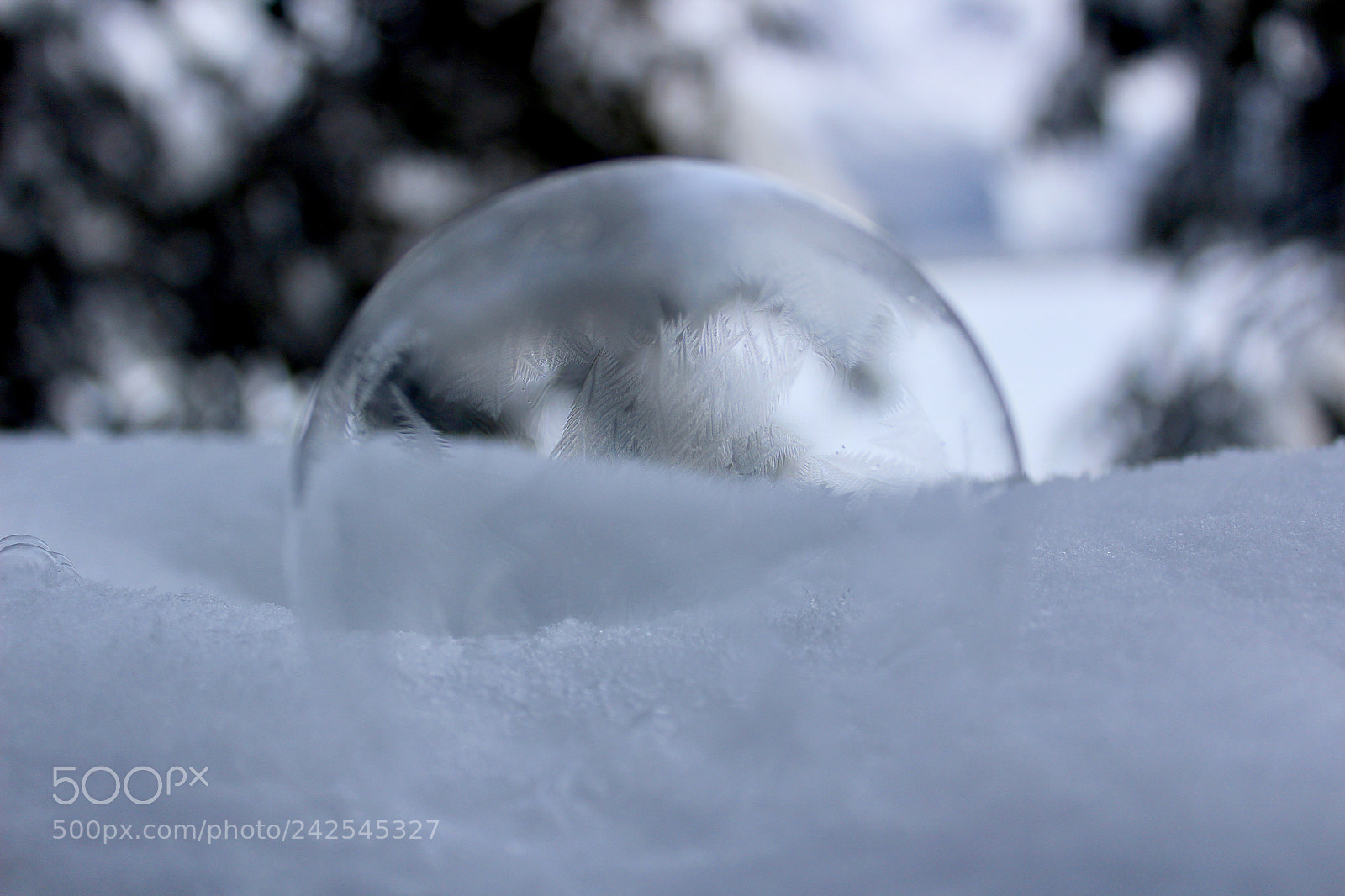 Canon EOS 1200D (EOS Rebel T5 / EOS Kiss X70 / EOS Hi) sample photo. Frozen bubbles photography