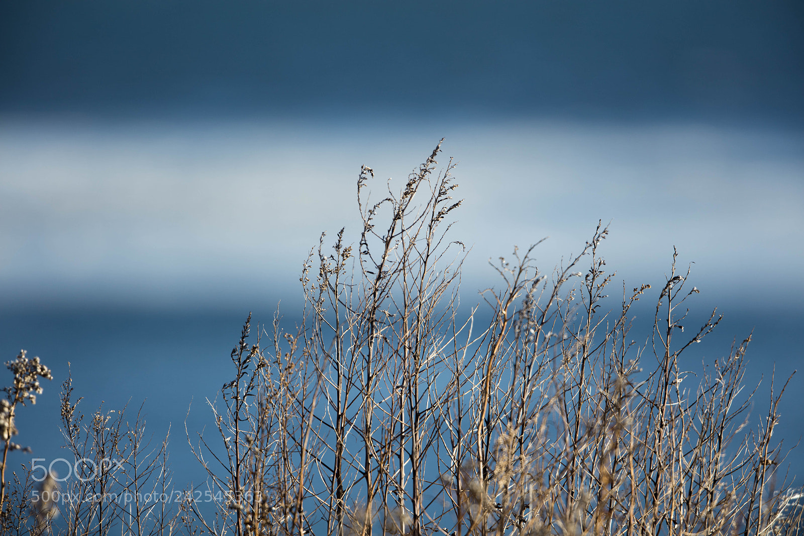 Canon EOS 5DS R sample photo. Ocean beach on a photography
