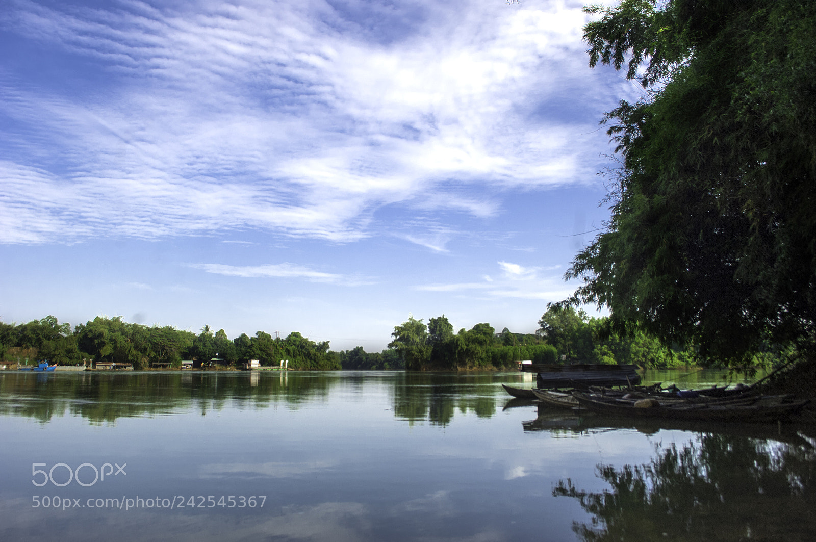 Nikon D2X sample photo. 125.jpg photography