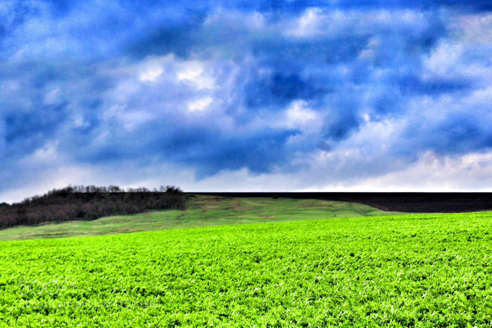 Canon EOS 1200D (EOS Rebel T5 / EOS Kiss X70 / EOS Hi) sample photo. Grass field and sky photography