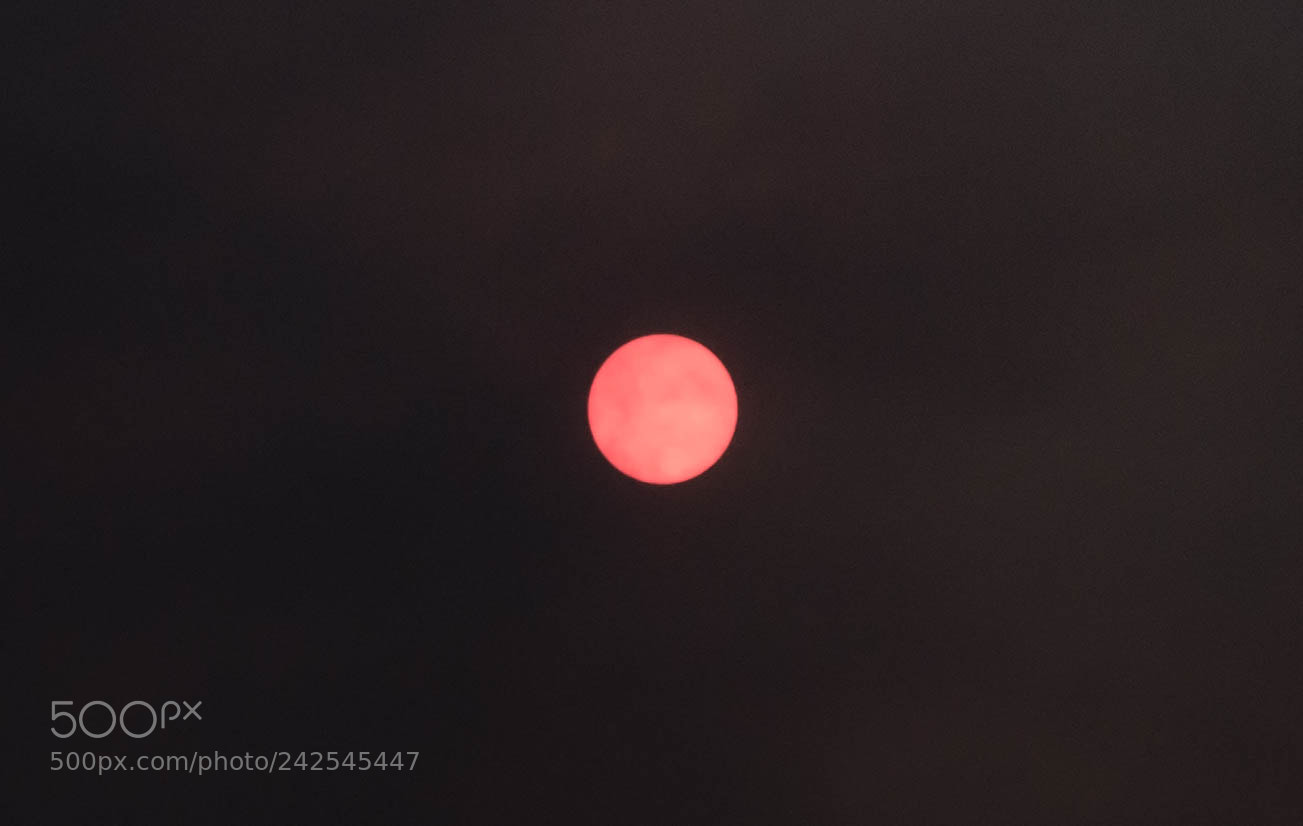 Nikon D7200 sample photo. The sun photography