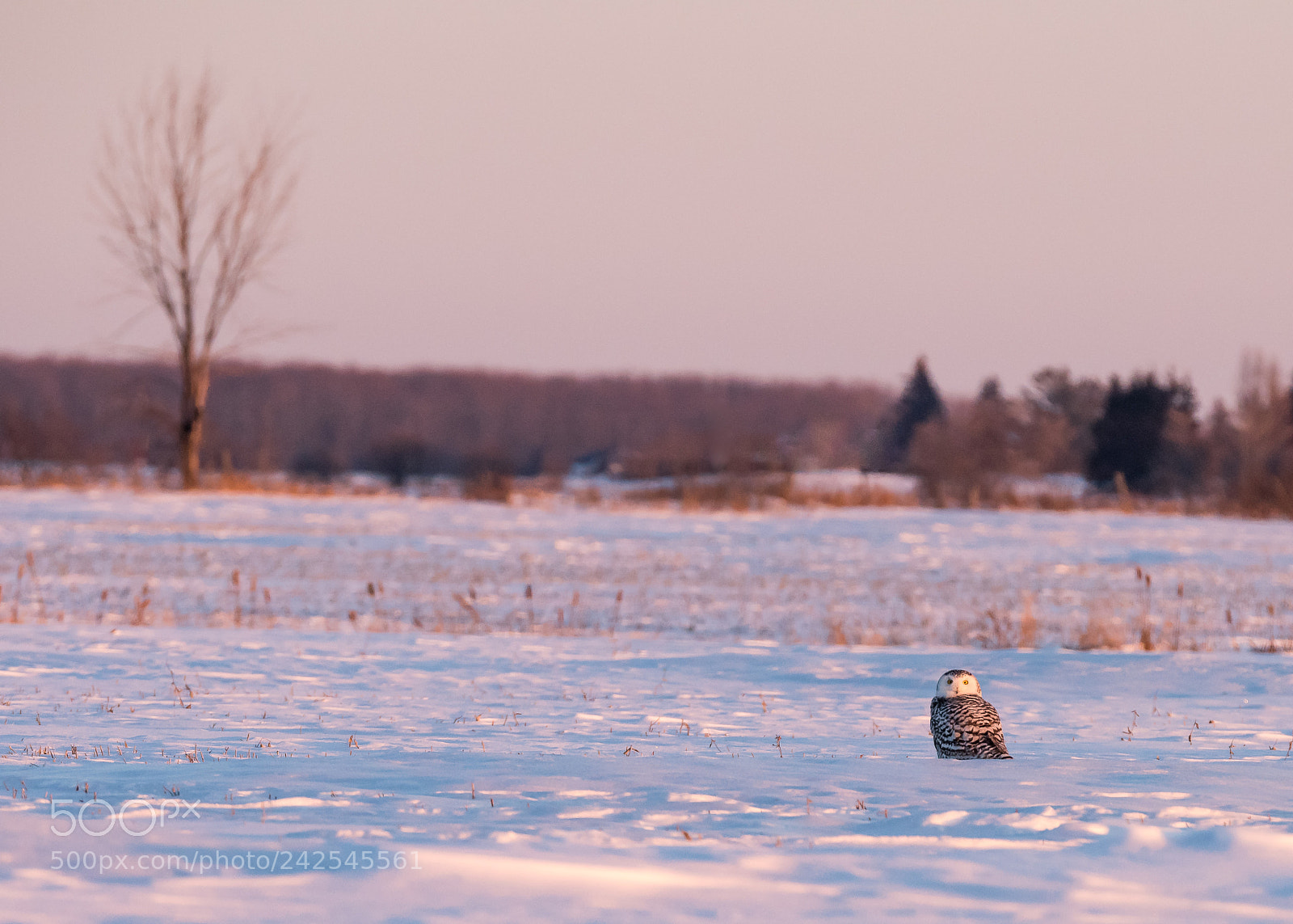 Nikon D810 sample photo. At the close of photography
