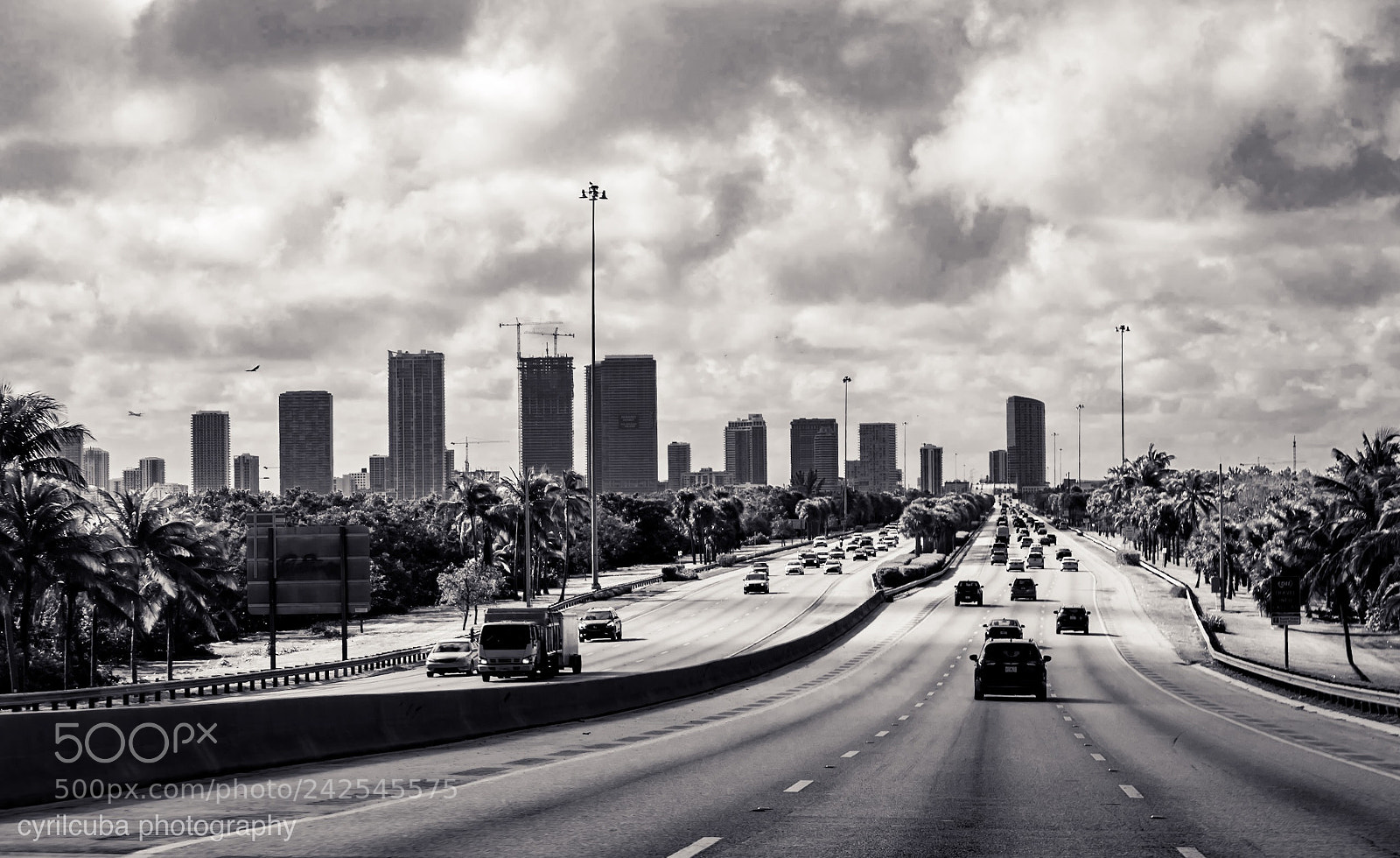 Nikon D5500 sample photo. Miami florida dicember 2017 photography
