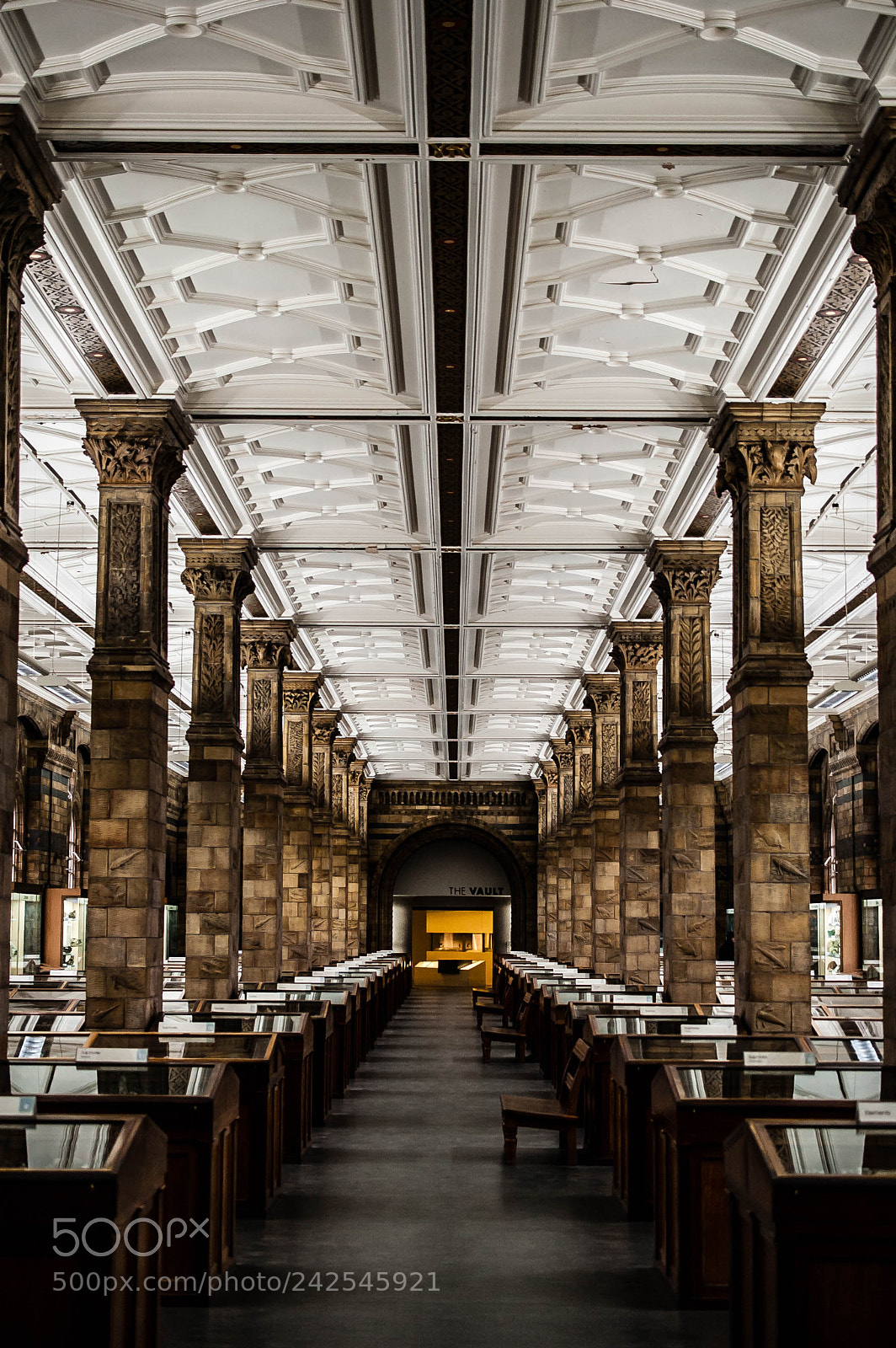 Nikon D70 sample photo. Natural history museum photography