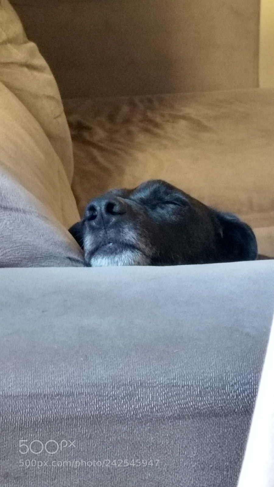 Motorola Moto G (4) sample photo. Sleep photography