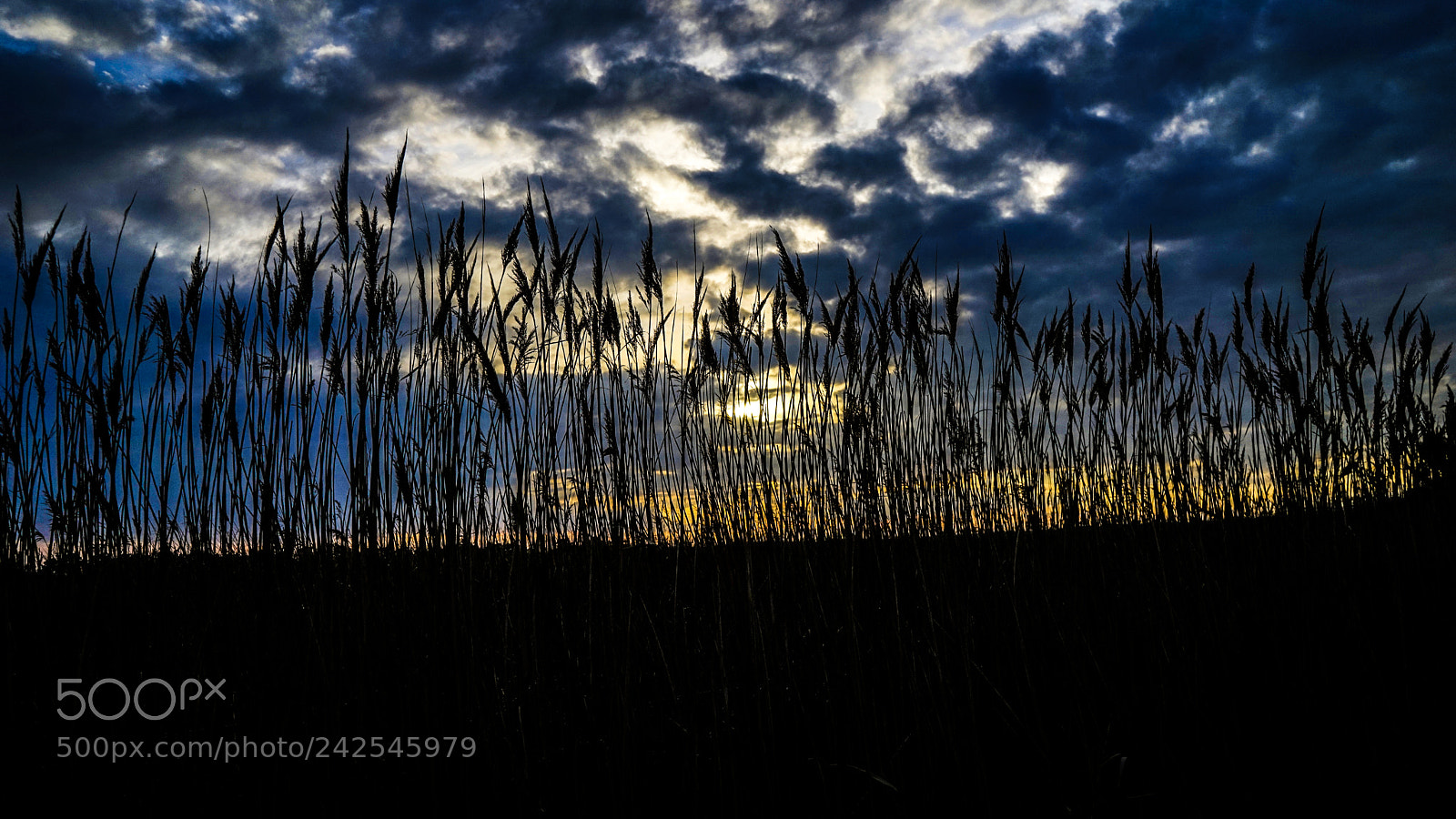 Sony a7 sample photo. Sunset photography
