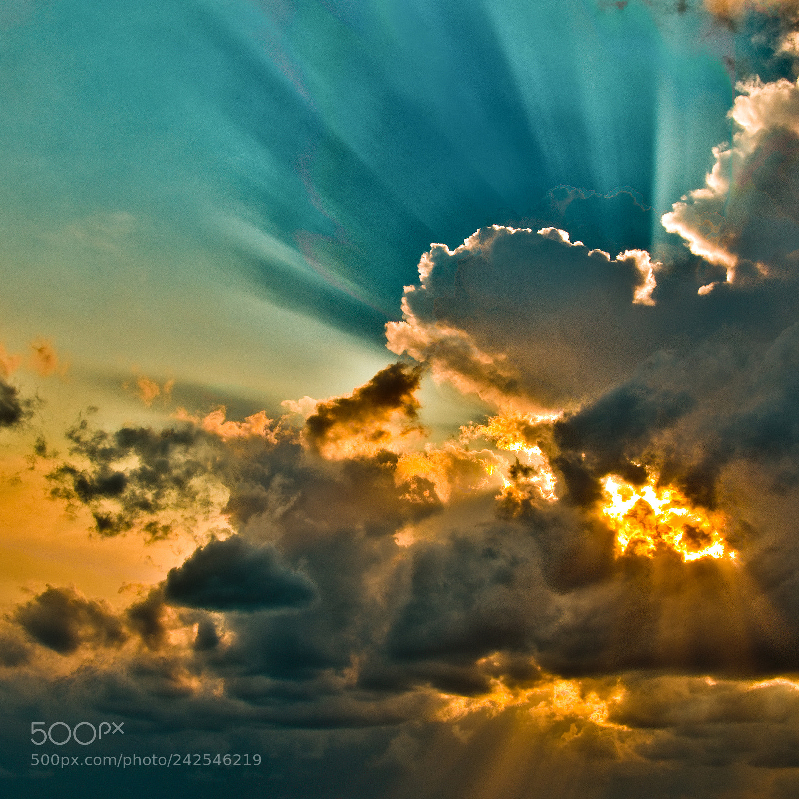 Nikon D300S sample photo. Sunset on castle rock photography