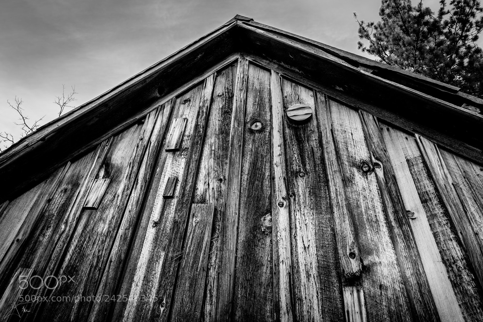 Nikon D810 sample photo. Cabin in the wood photography
