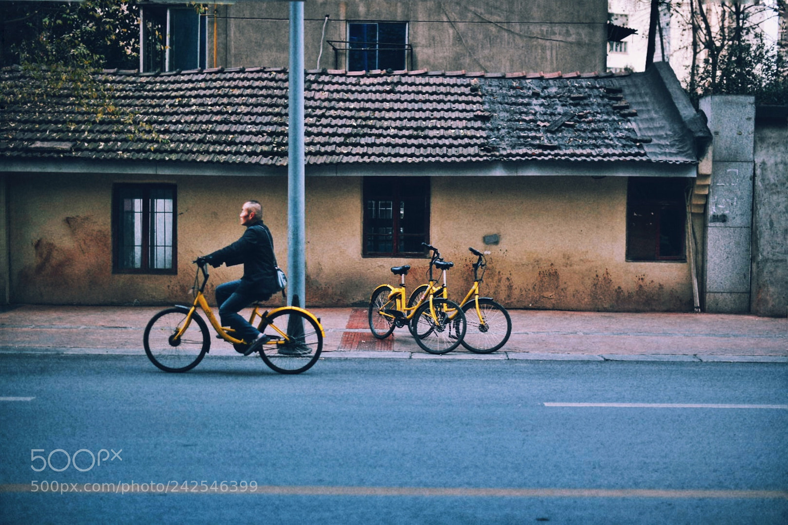 Nikon D850 sample photo. Street view photography