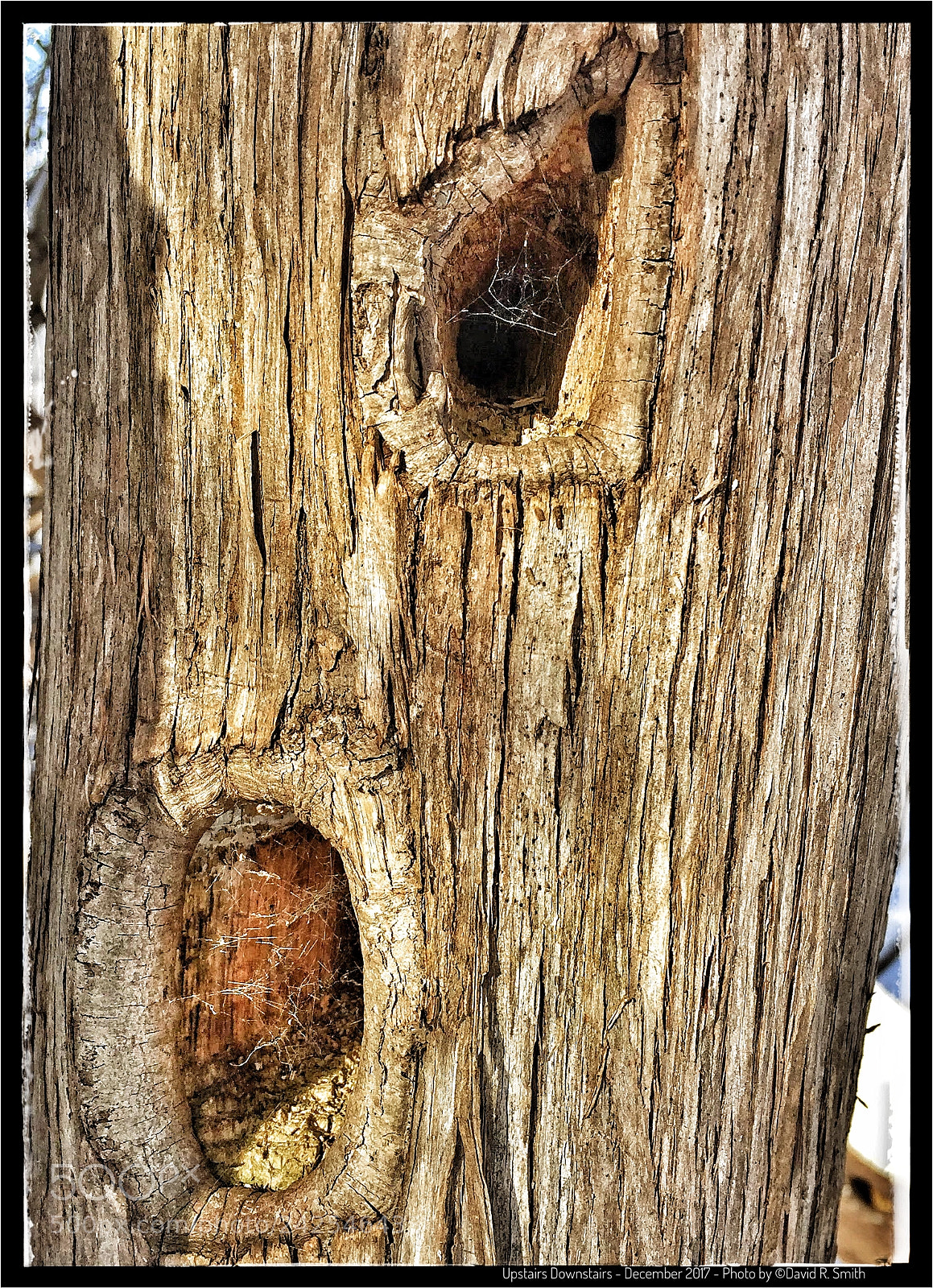 Apple iPhone 6 Plus sample photo. Upstairs  downstairs photography