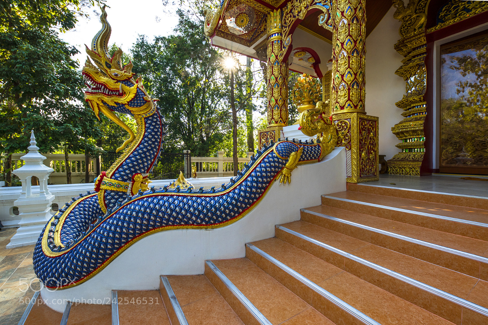 Nikon D850 sample photo. Le dragon bleu photography