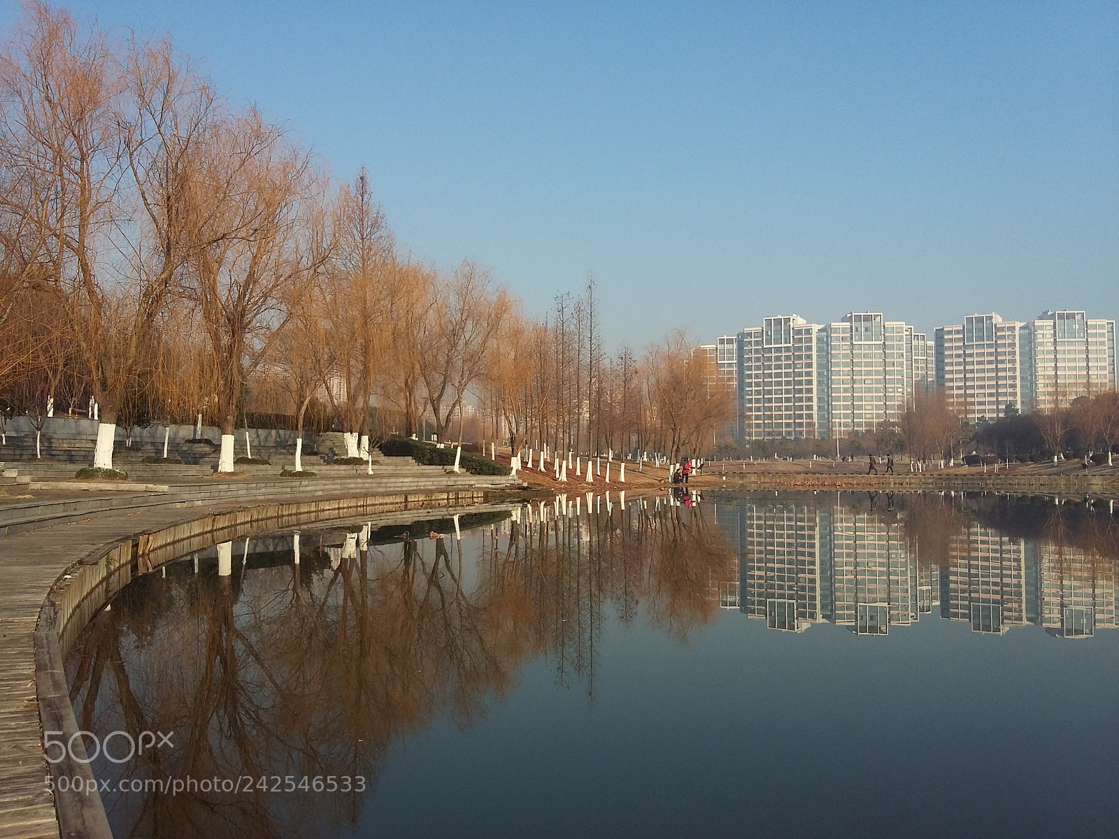 Samsung Galaxy A3 sample photo. Untitled photography