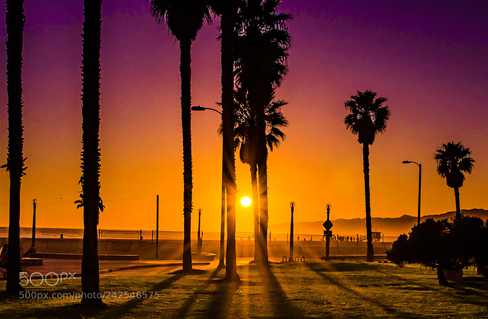 Nikon D5100 sample photo. California dreaming  photography