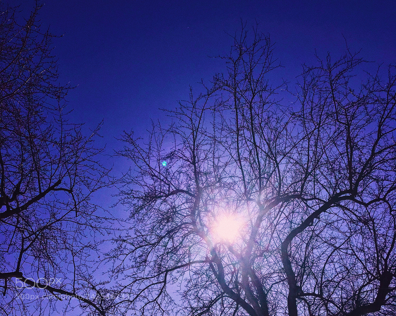 Apple iPhone 7 sample photo. Indigo skies☂️? photography