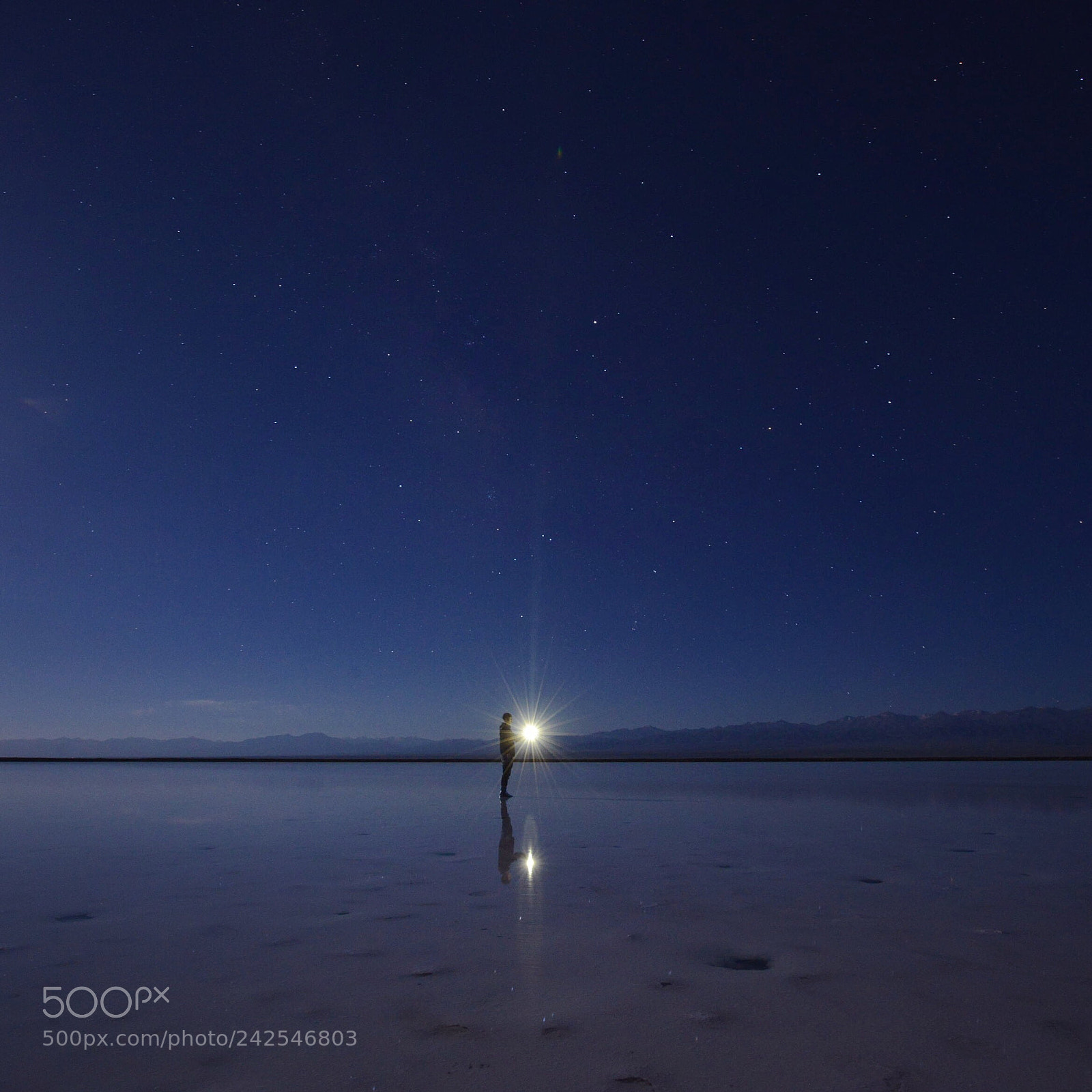 Nikon D800 sample photo. Star photography