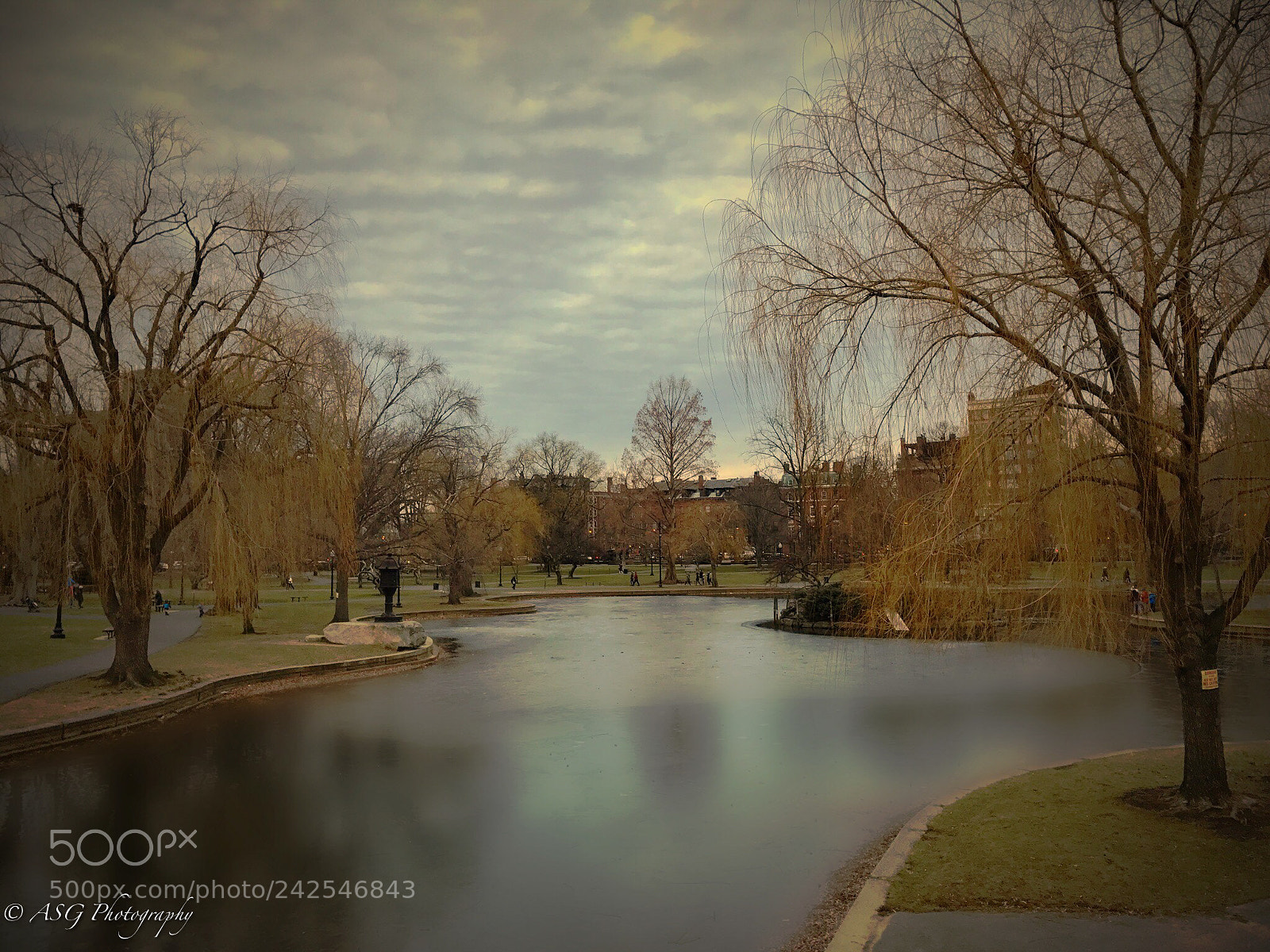 Apple iPhone 7 sample photo. Public garden!! photography