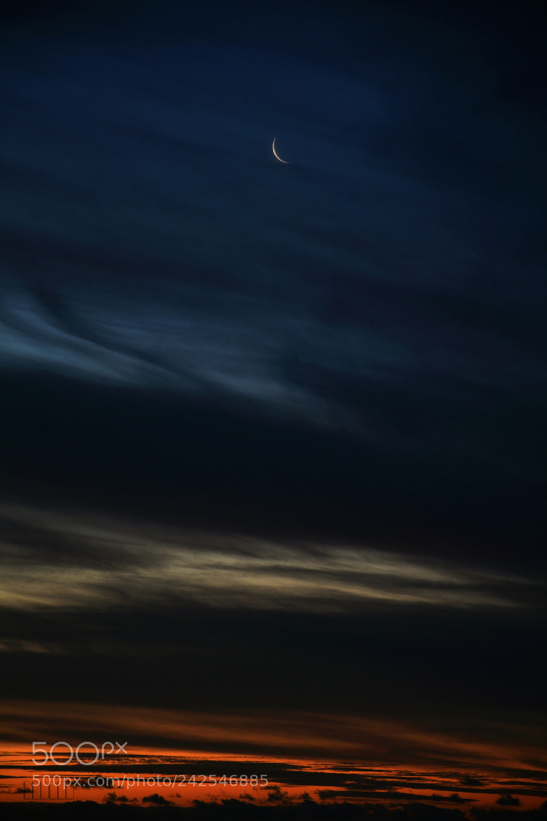 Nikon D7100 sample photo. _2.jpg photography