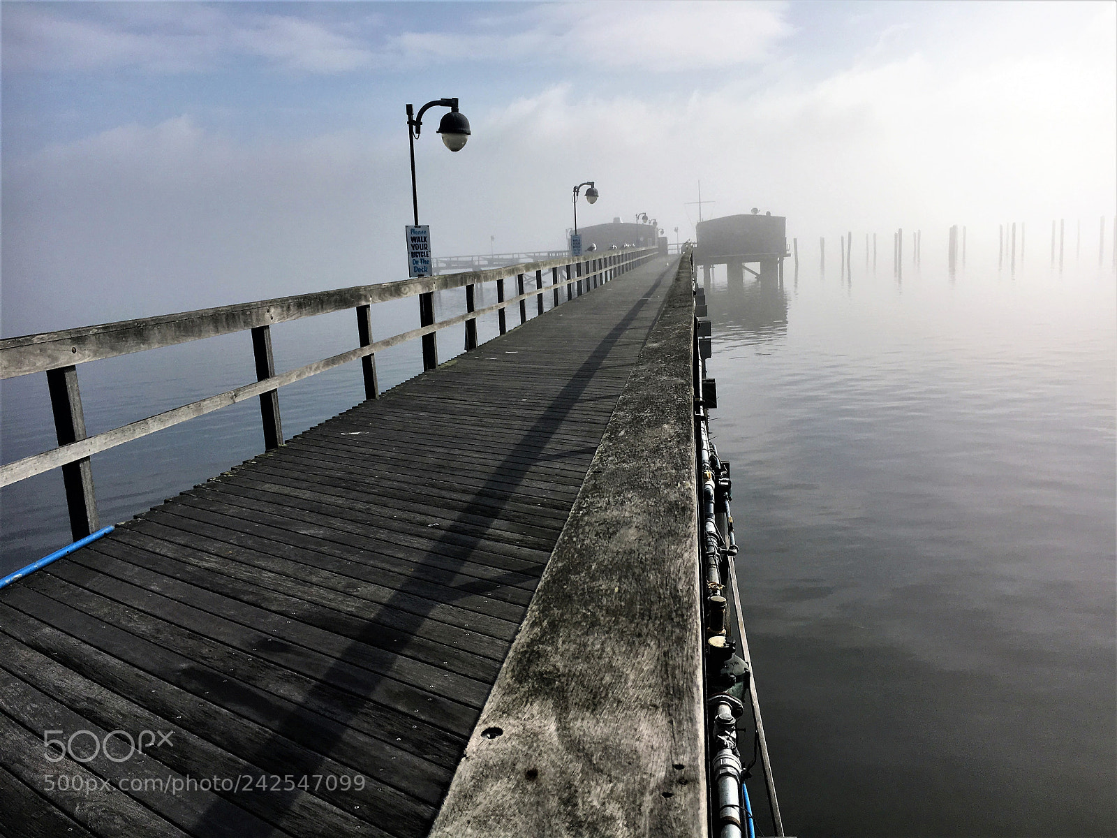 Apple iPhone 6s sample photo. Morning fog photography