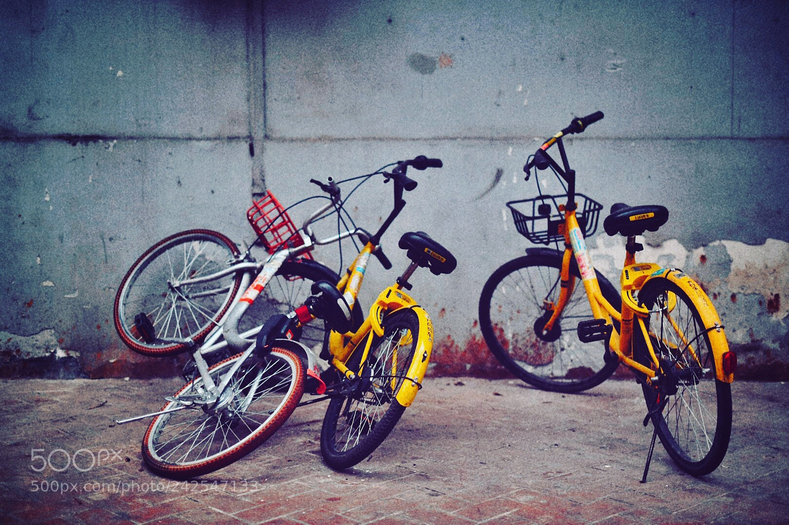 Nikon D850 sample photo. Bikes photography