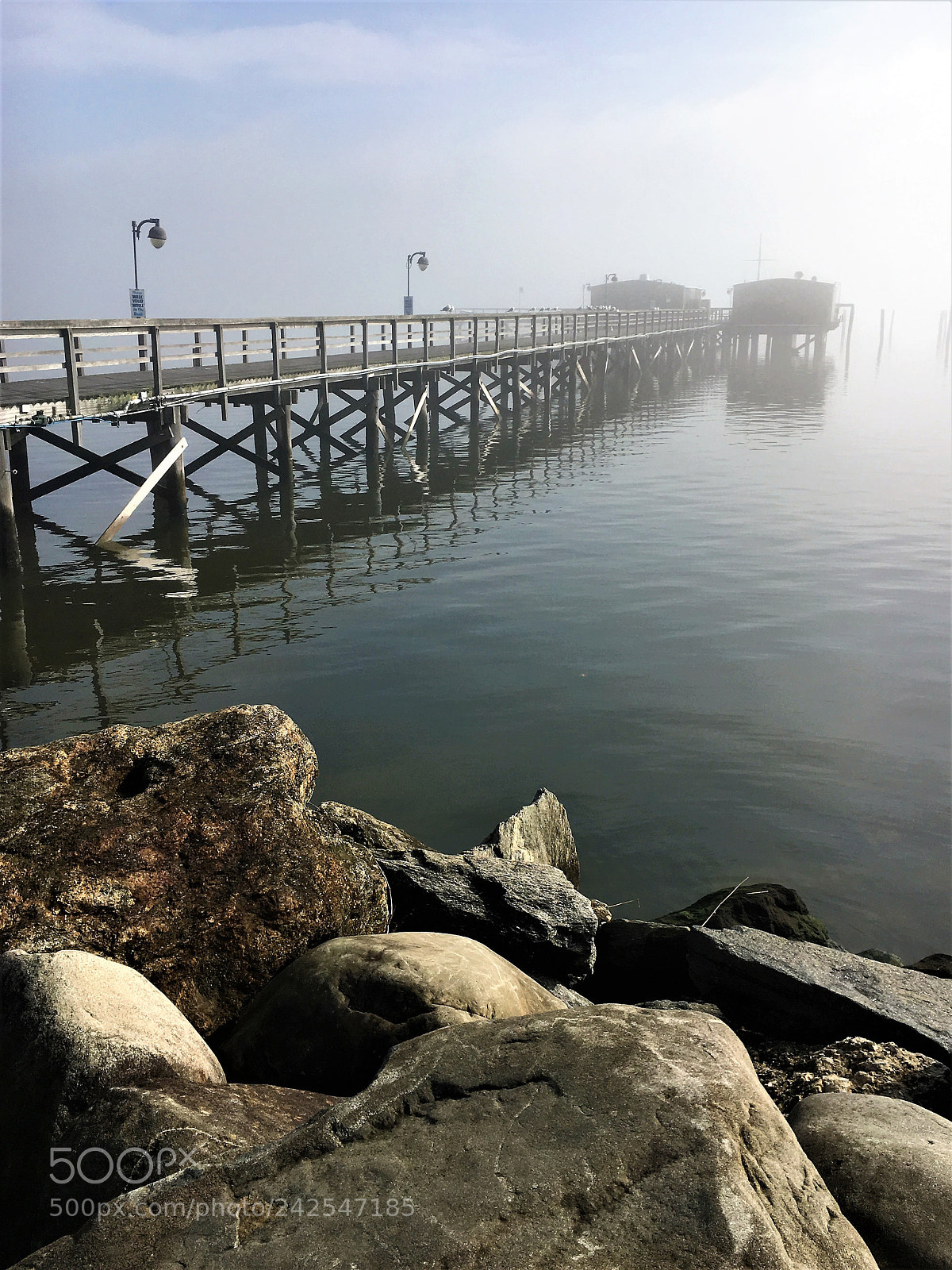 Apple iPhone 6s sample photo. Img photography