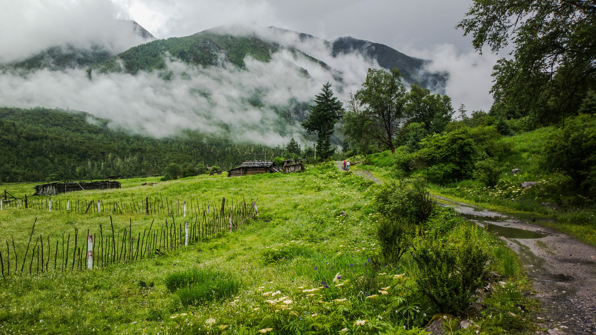 Nokia 808 PureView sample photo. After the rain photography