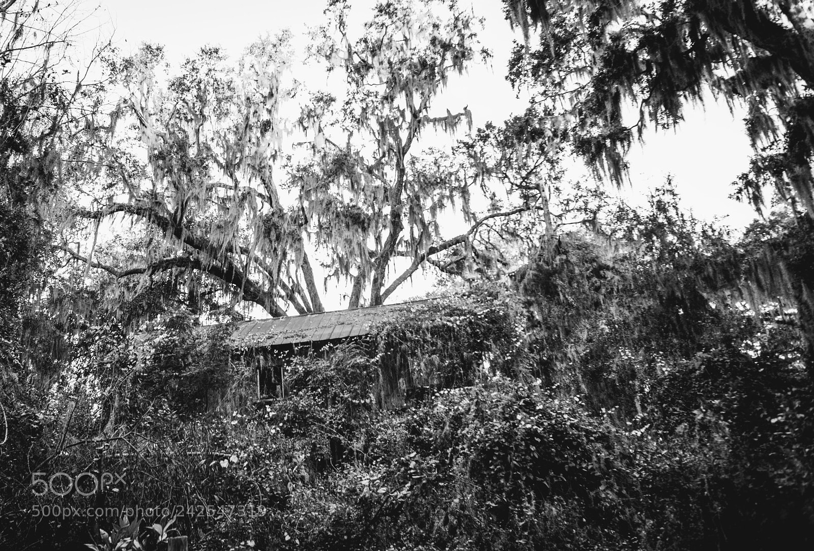 Nikon D700 sample photo. Barn photography