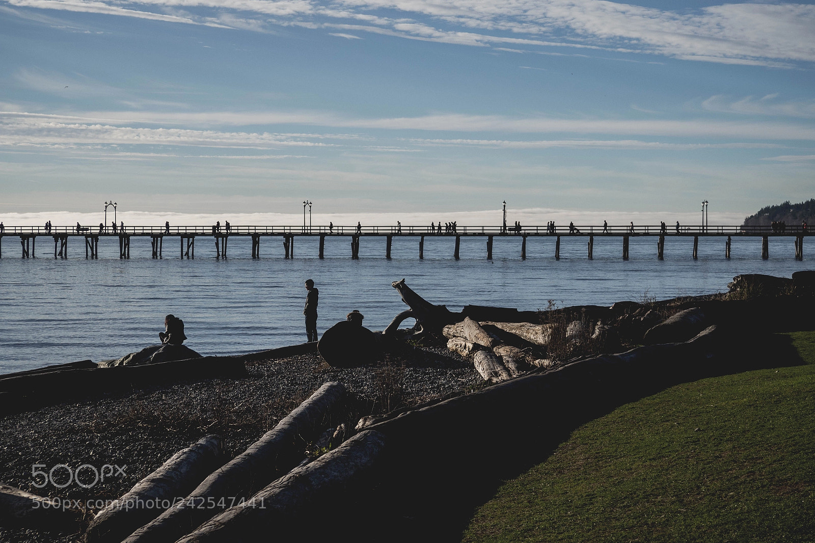 Olympus OM-D E-M10 II sample photo. Pier photography
