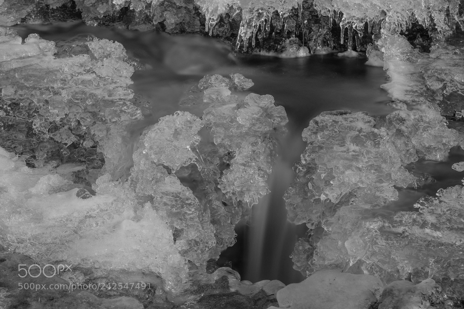 Fujifilm X-Pro2 sample photo. Strawberry creek photography