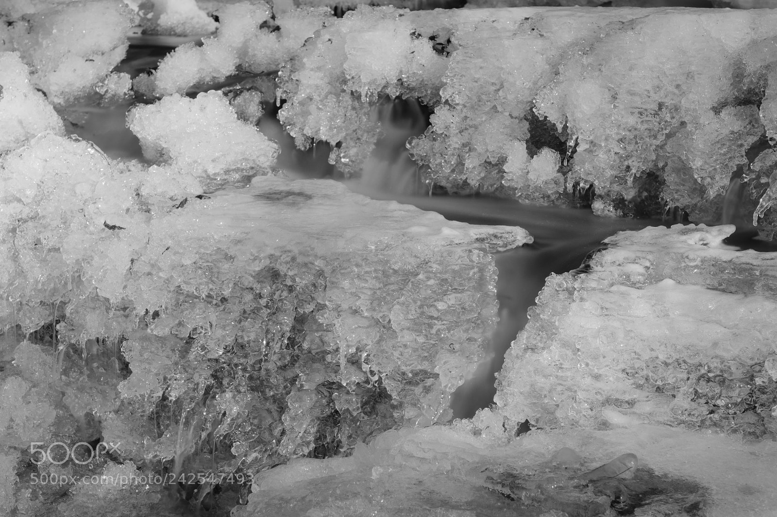 Fujifilm X-Pro2 sample photo. Strawberry creek photography