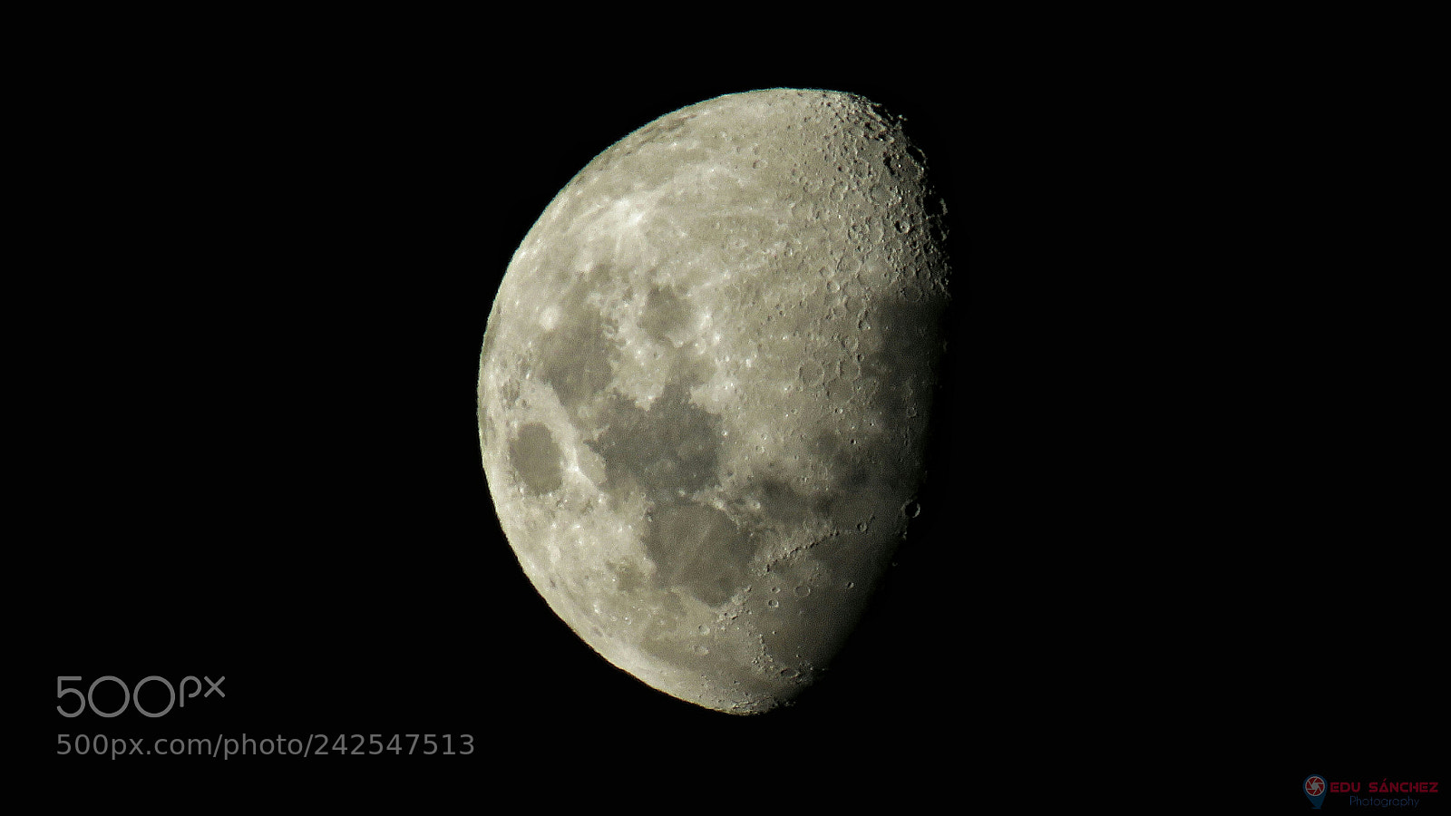 Canon PowerShot SX60 HS sample photo. Luna photography