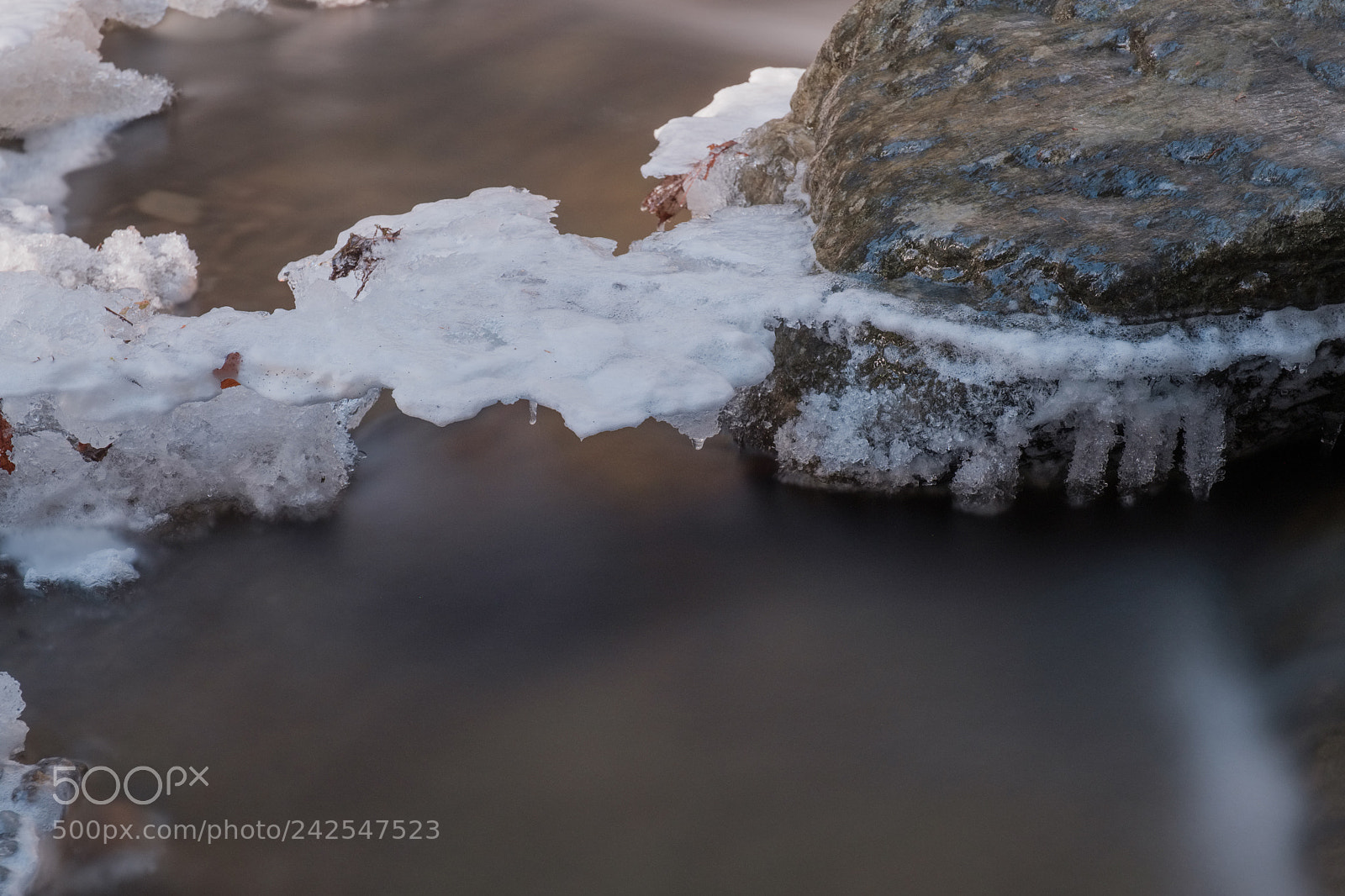 Fujifilm X-Pro2 sample photo. Strawberry creek photography