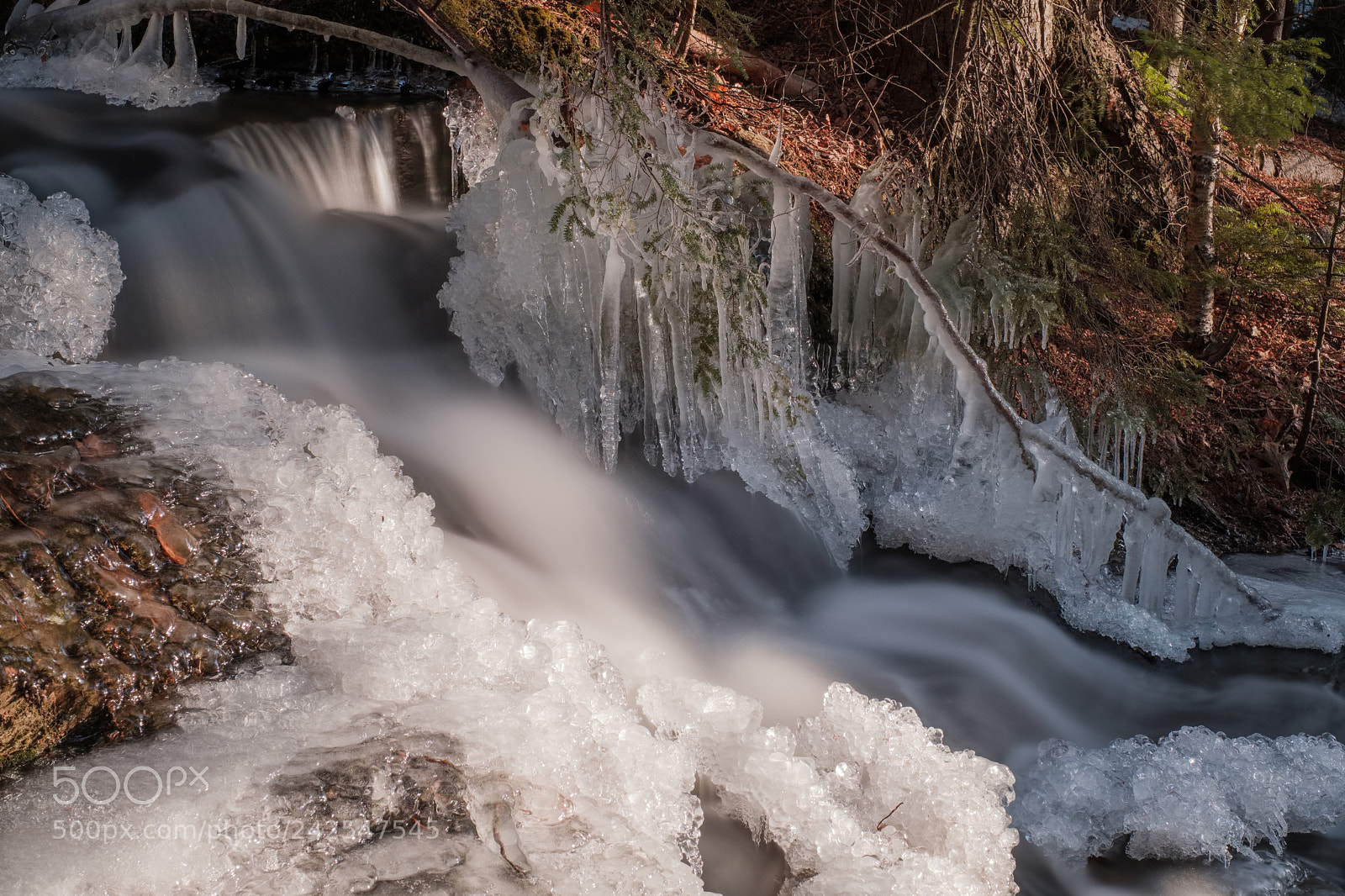 Fujifilm X-Pro2 sample photo. Strawberry creek photography