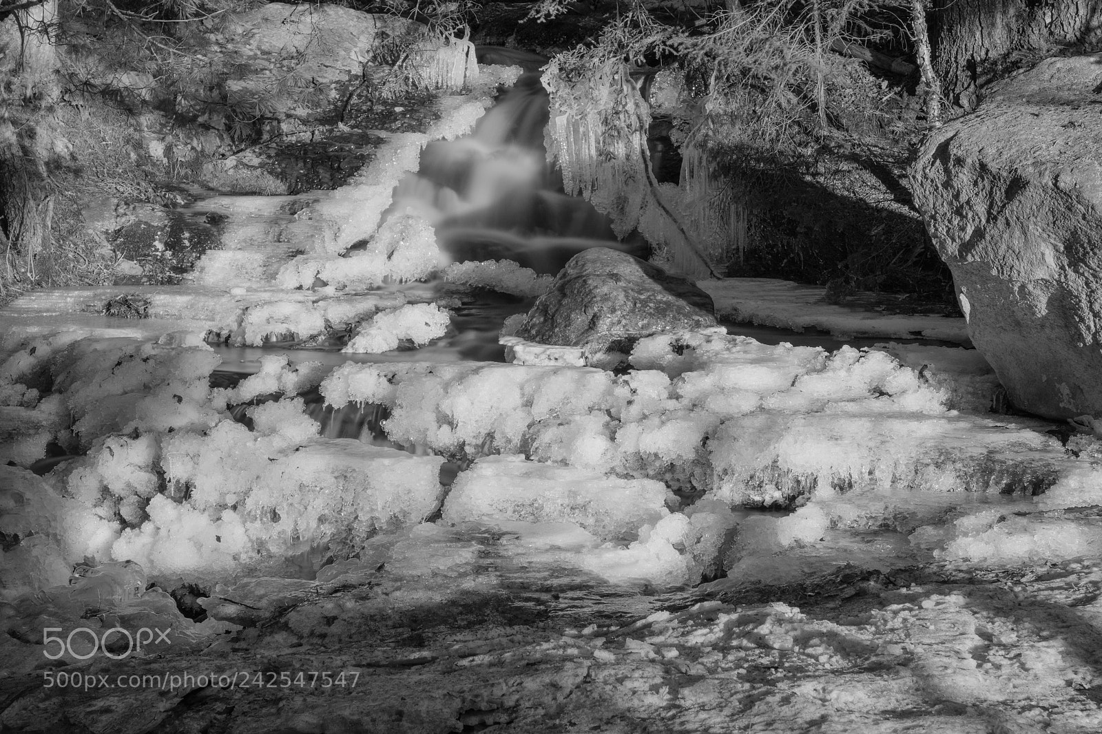 Fujifilm X-Pro2 sample photo. Strawberry creek photography