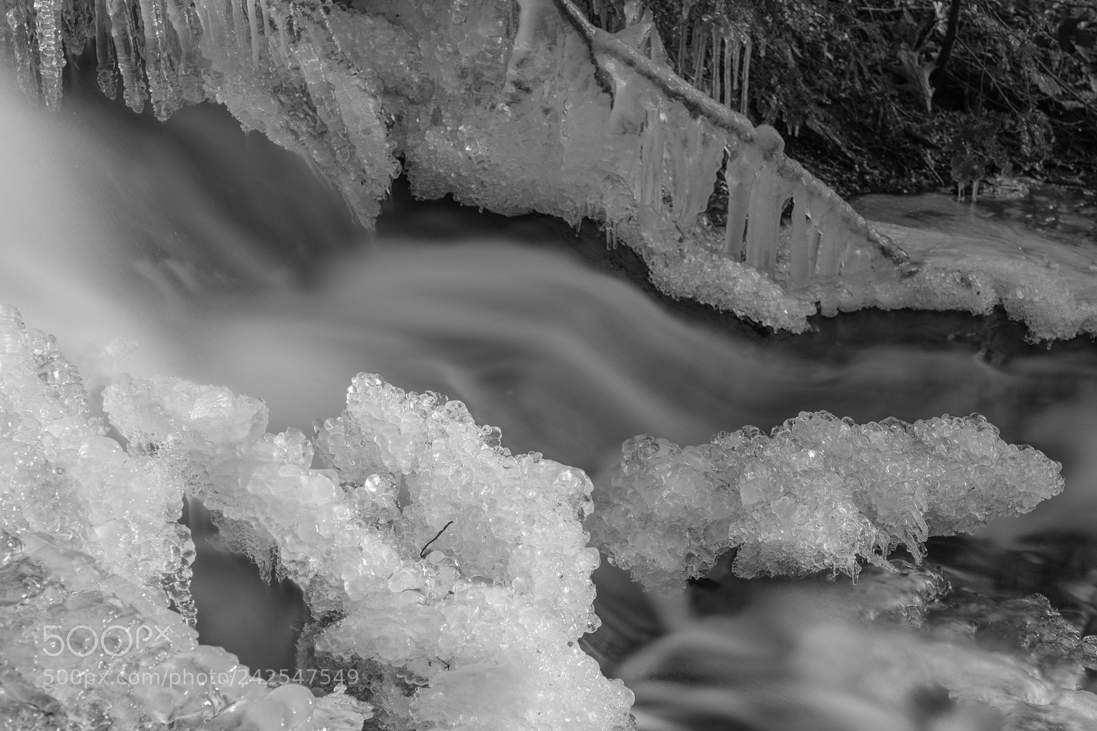 Fujifilm X-Pro2 sample photo. Strawberry creek photography