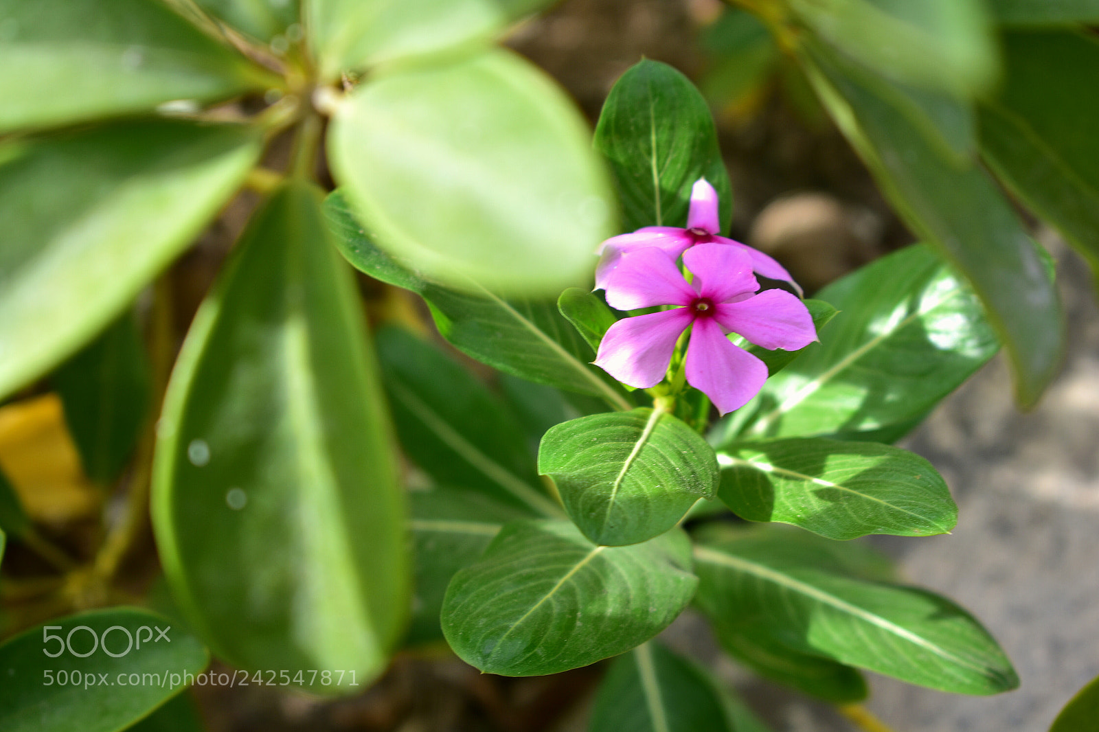 Nikon D3400 sample photo. Untitled photography
