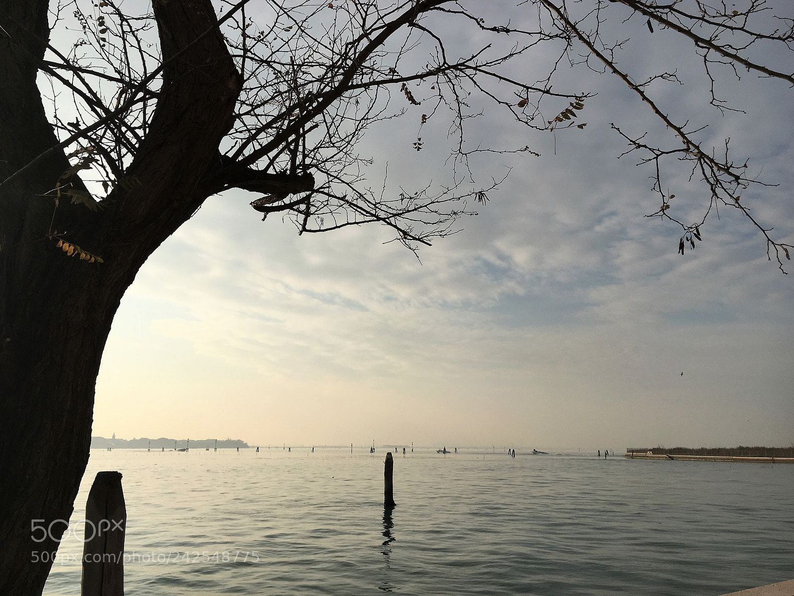 Apple iPhone 6s sample photo. Img photography