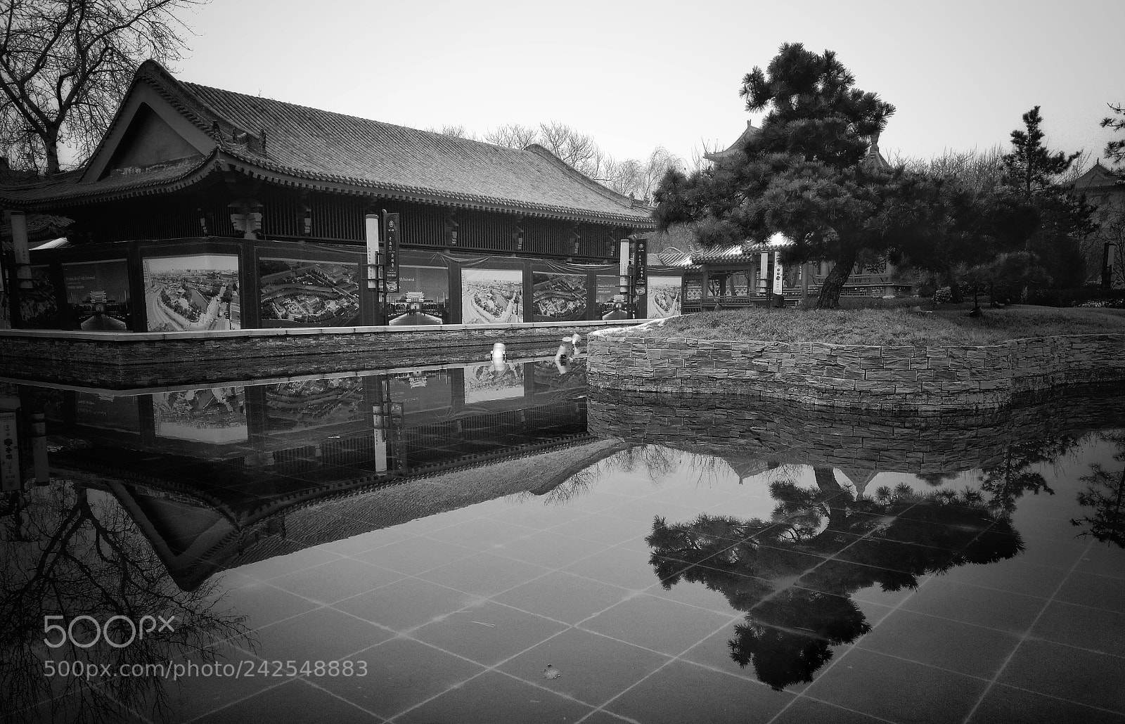 HUAWEI Mate 8 sample photo. Untitled photography