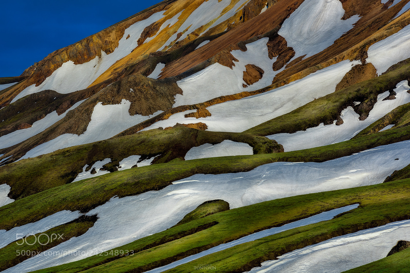 Nikon D810 sample photo. Colors of the earth photography
