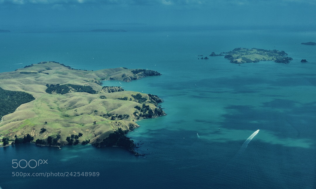 Nikon D3400 sample photo. Great barrier island photography