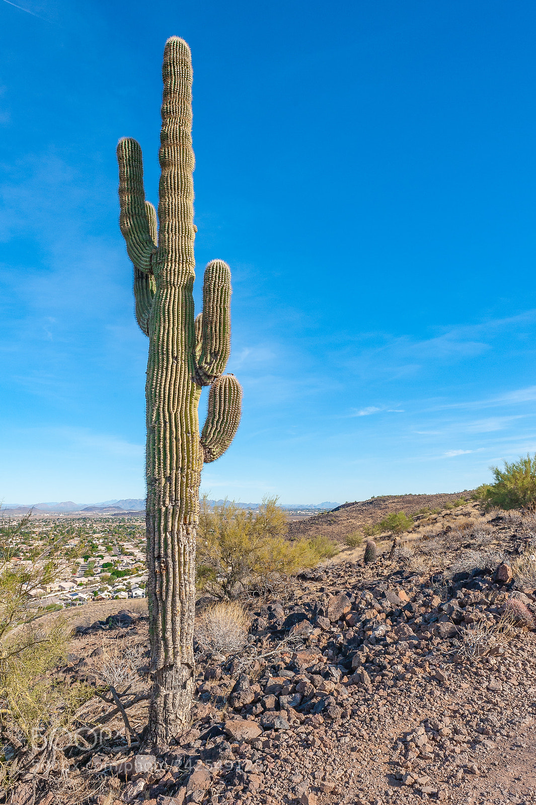 Nikon D700 sample photo. Trailmarker photography