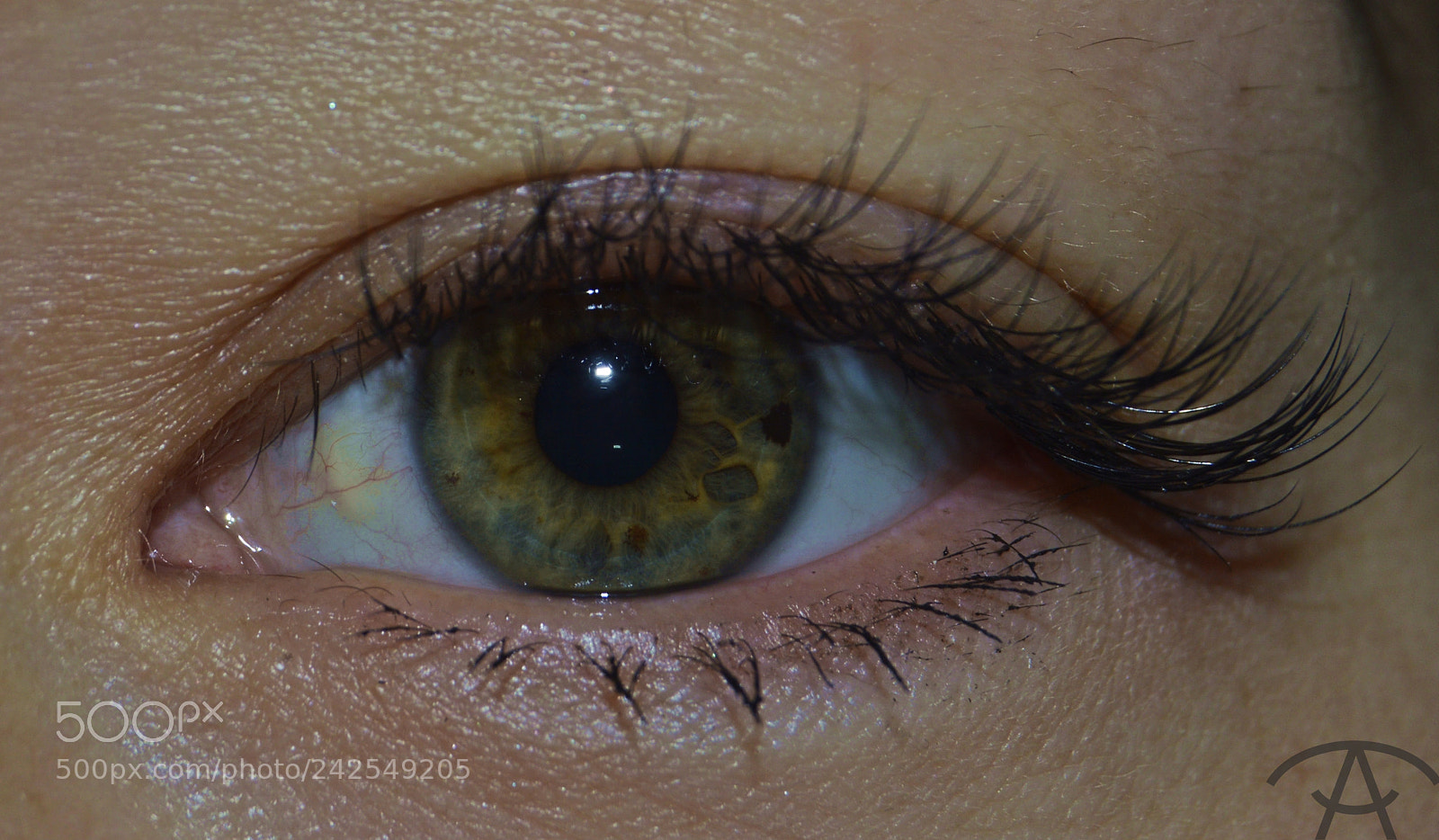 Nikon D3200 sample photo. Ayta photography