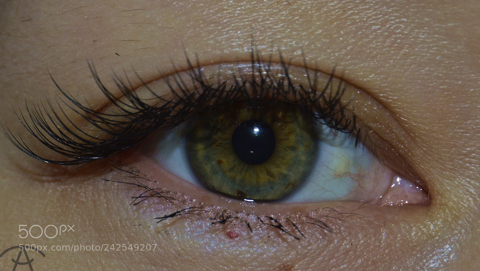 Nikon D3200 sample photo. Ayta photography