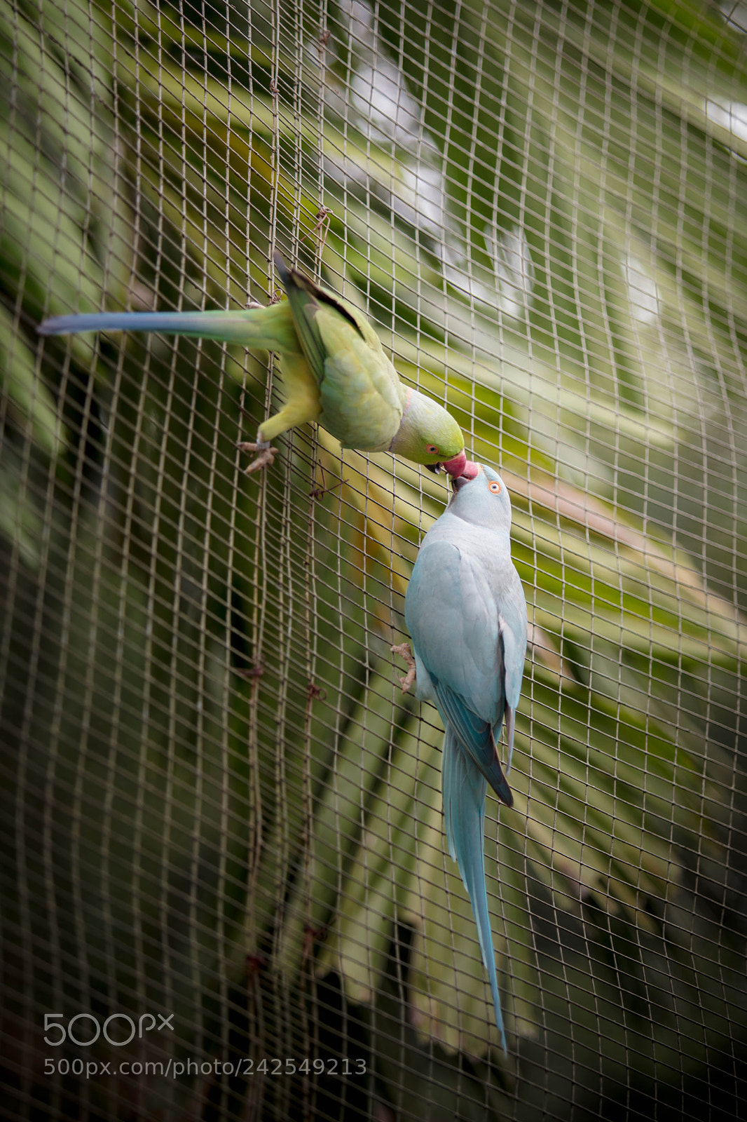 Canon EOS 5DS sample photo. Beautiful world photography