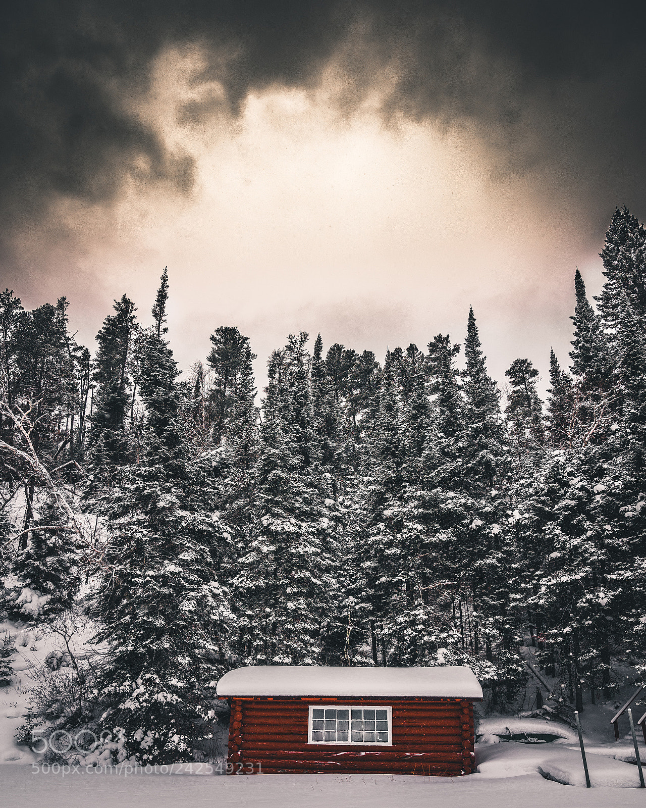 Sony a7 II sample photo. Untitled photography