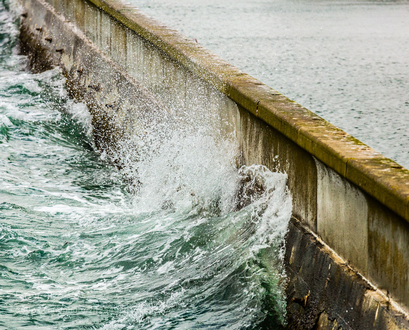 Canon EOS 5DS R sample photo. Waves crash in wellington photography