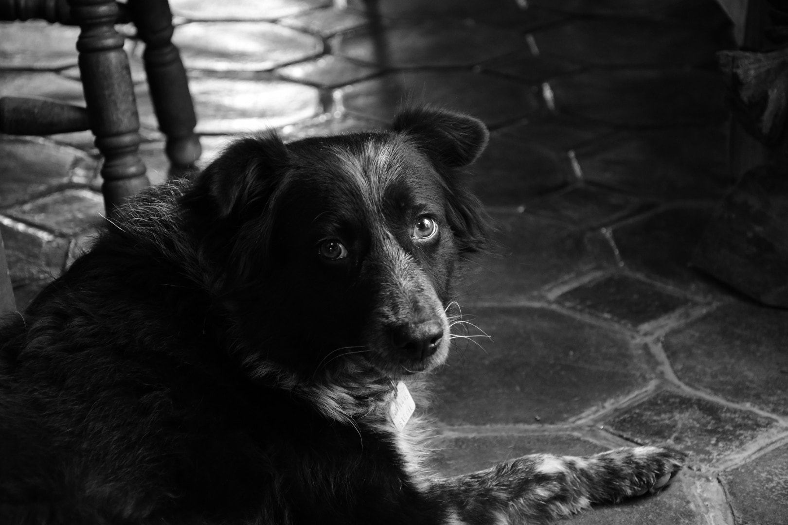Nikon D7500 sample photo. Toñita. photography