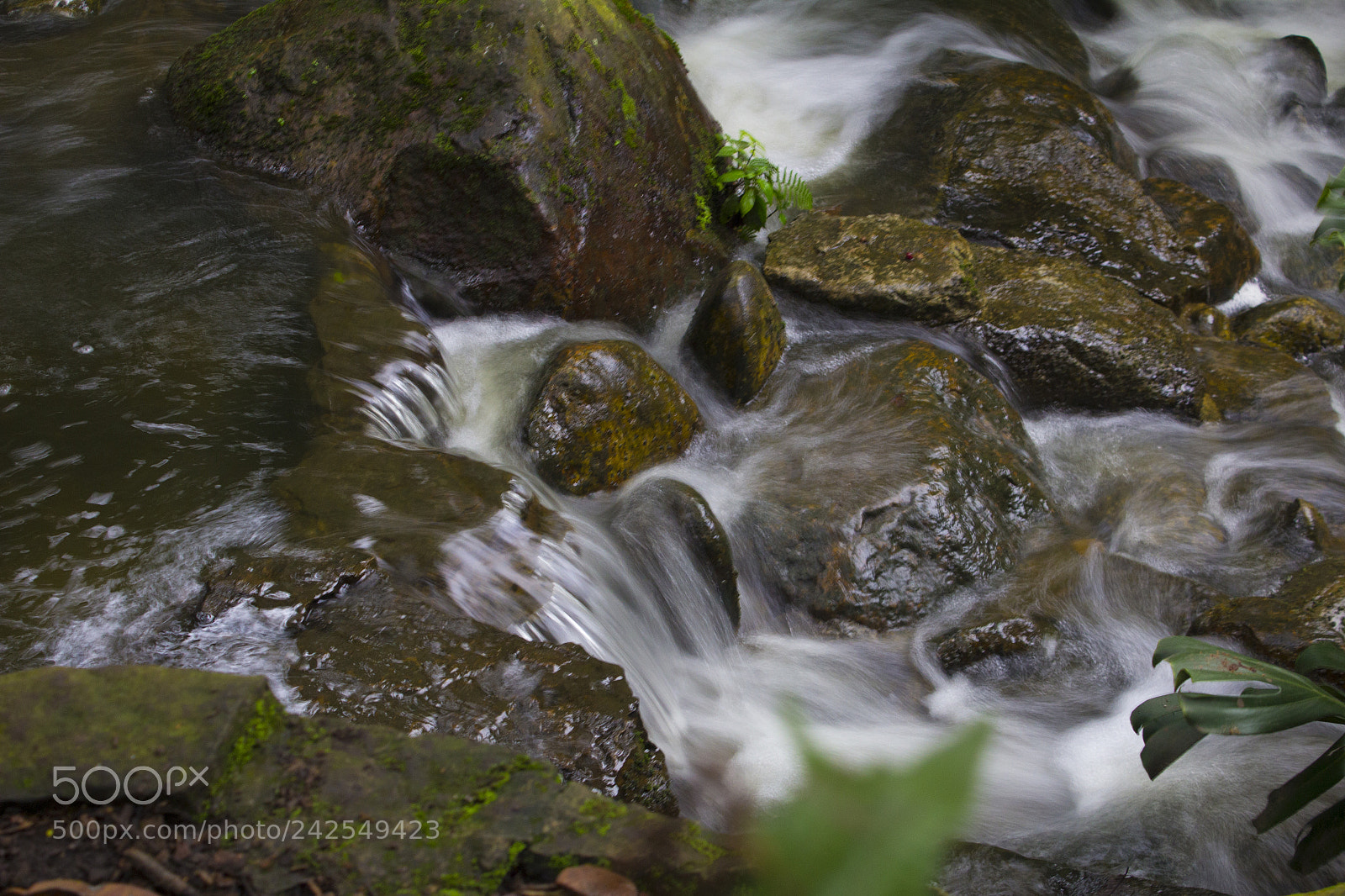 Canon EOS 600D (Rebel EOS T3i / EOS Kiss X5) sample photo. Between the rocks photography