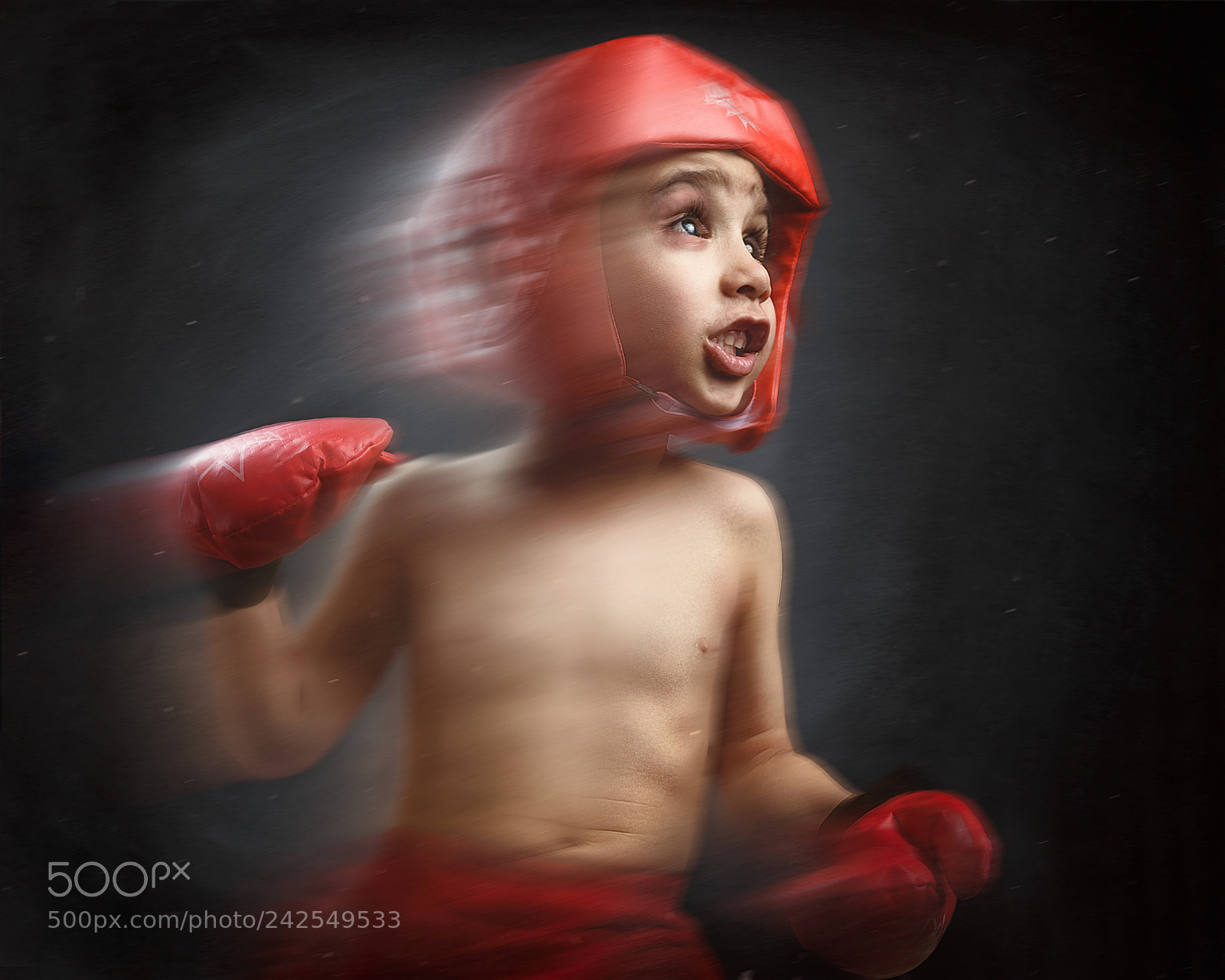Nikon D810 sample photo. Little boxer photography