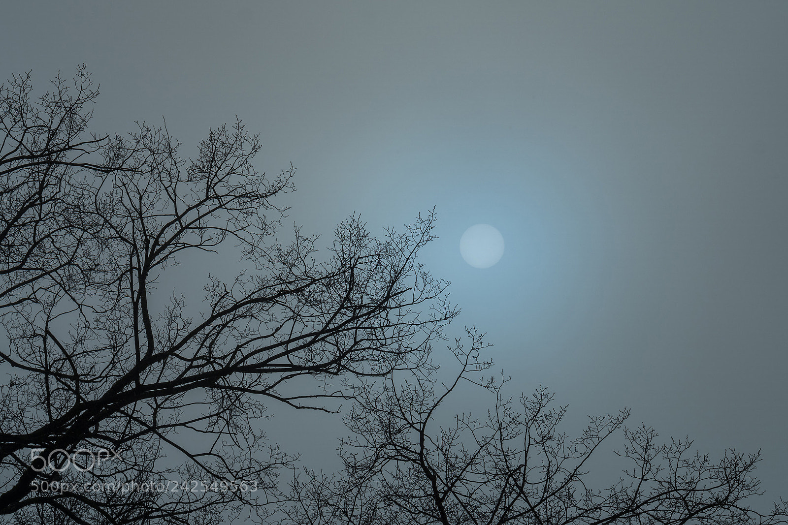 Olympus OM-D E-M5 II sample photo. Sun behind fog photography