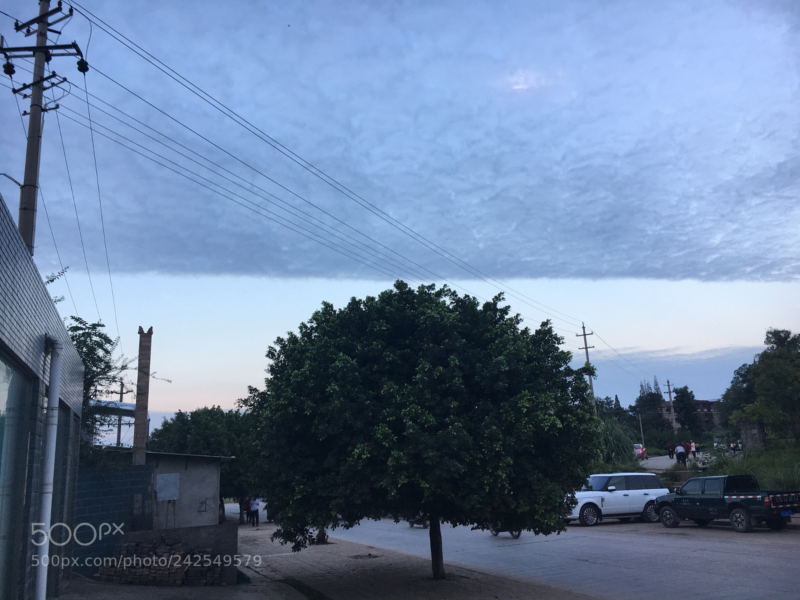 Apple iPhone 6s sample photo. Untitled photography